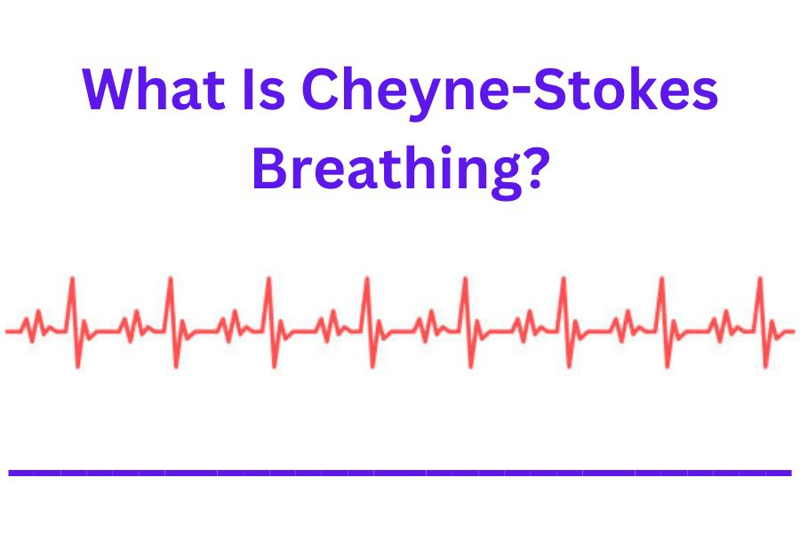 What Is Cheyne-Stokes Breathing?