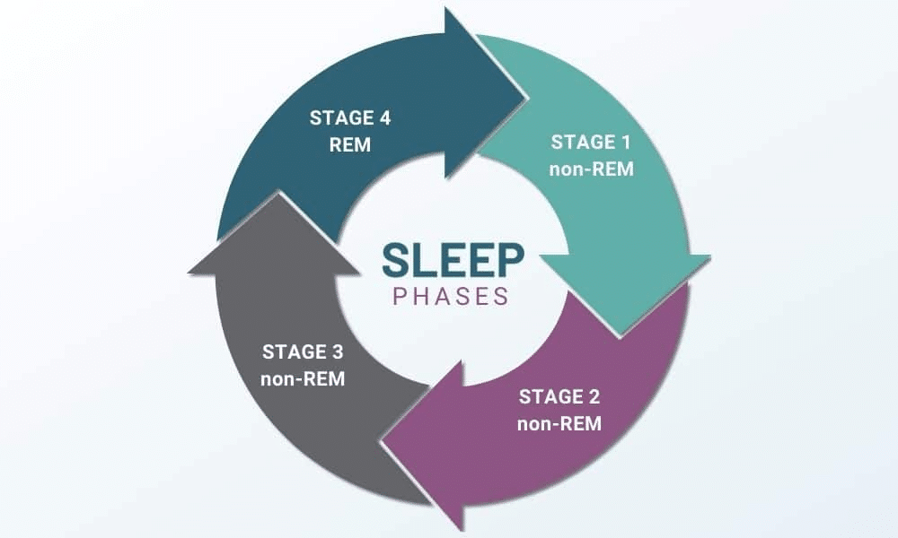 Understanding The Sleep Cycle