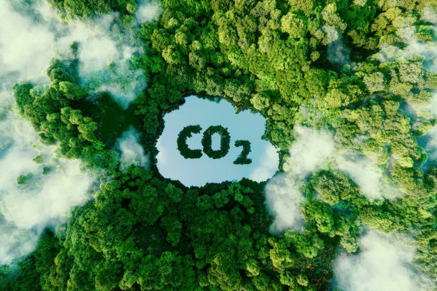 A concept depicting the issue of carbon dioxide emissions and its impact on nature