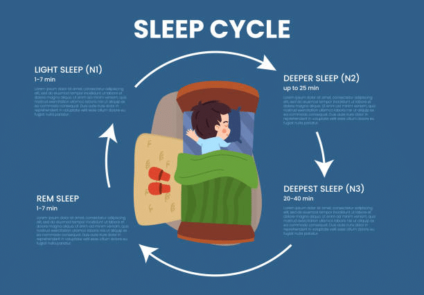 Understanding Sleep Stages