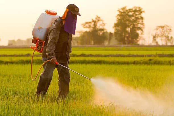 How Atrazine Affects Your Tap Water And Your Hormones