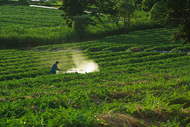 Farmer spraying chemicals