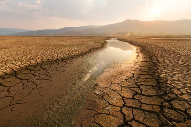 Drought Resilience: Strategies for Water Management