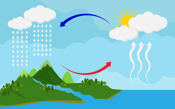 Water Cycle