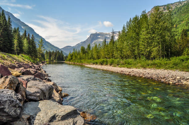 Freshwater Ecosystems